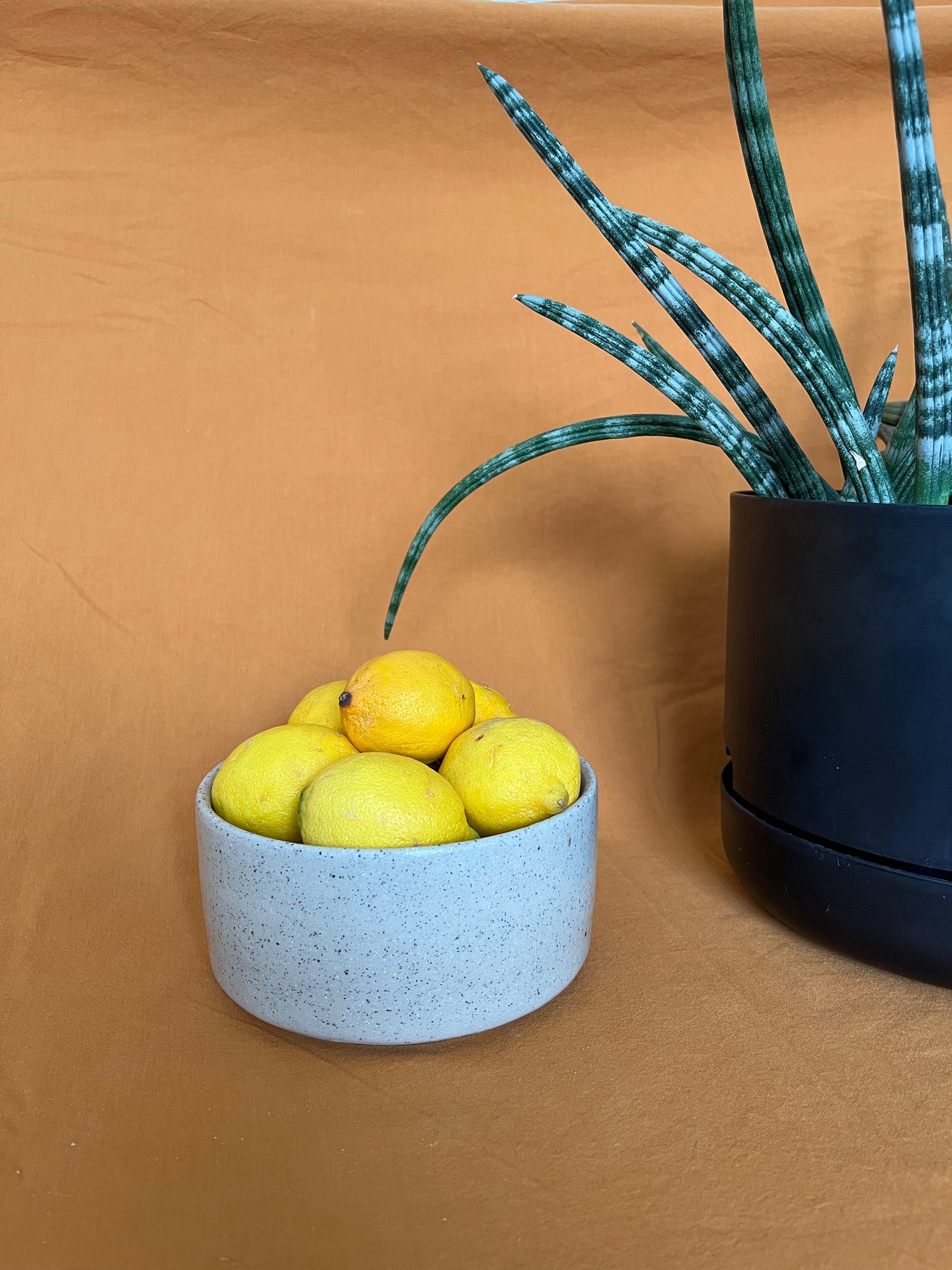 Serving Dish - Medium, Beige Speckle