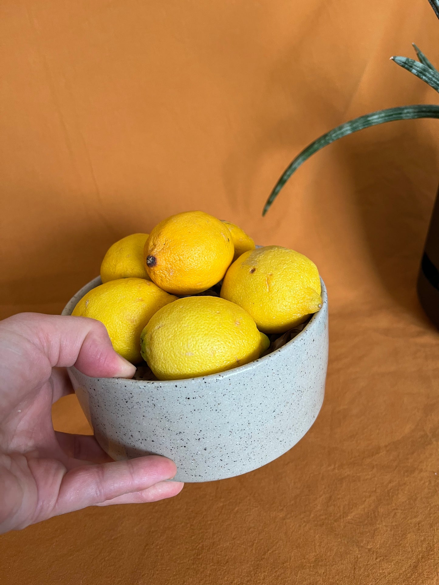 Serving Dish - Medium, Beige Speckle
