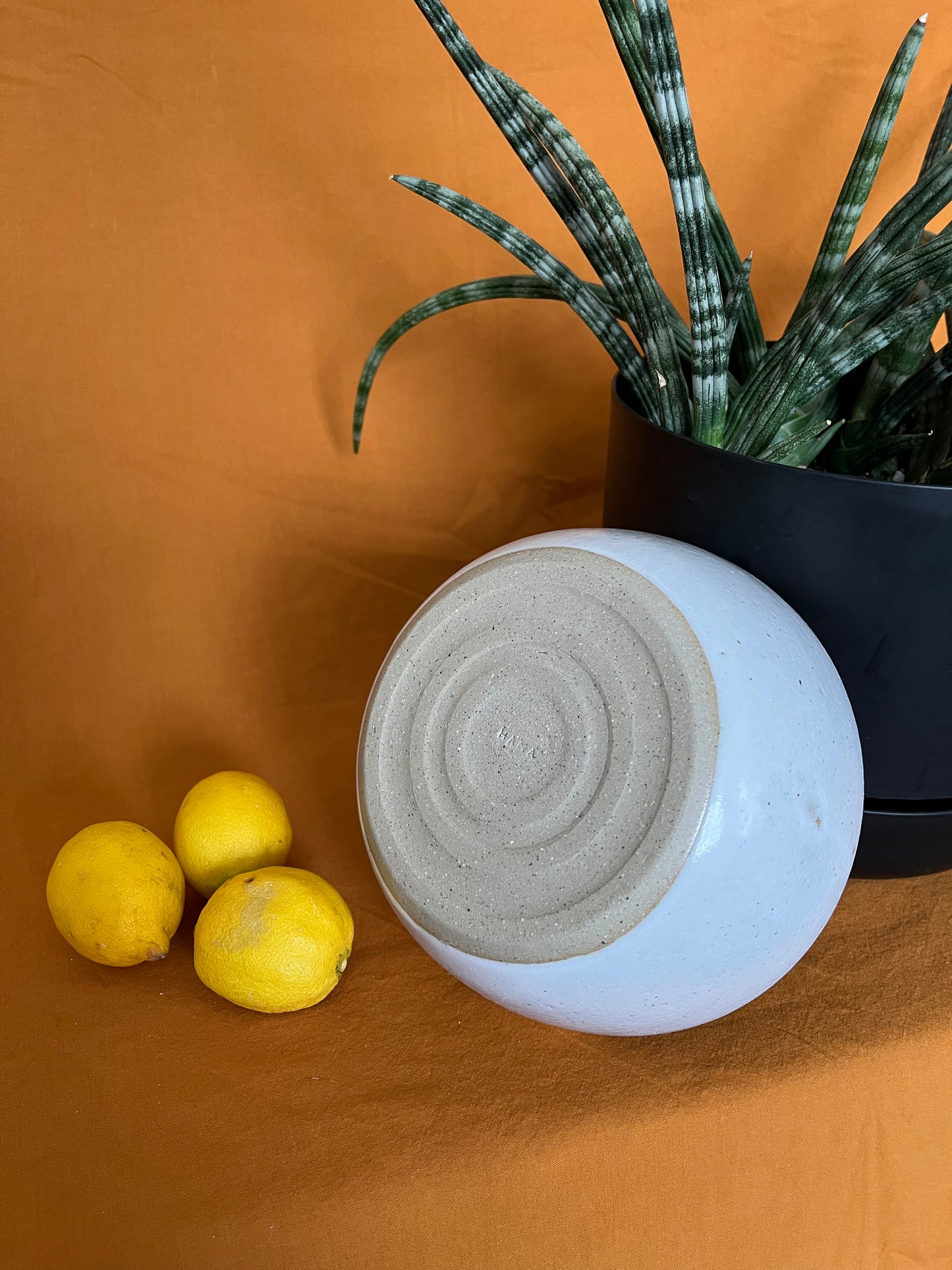 Serving Bowl - Medium